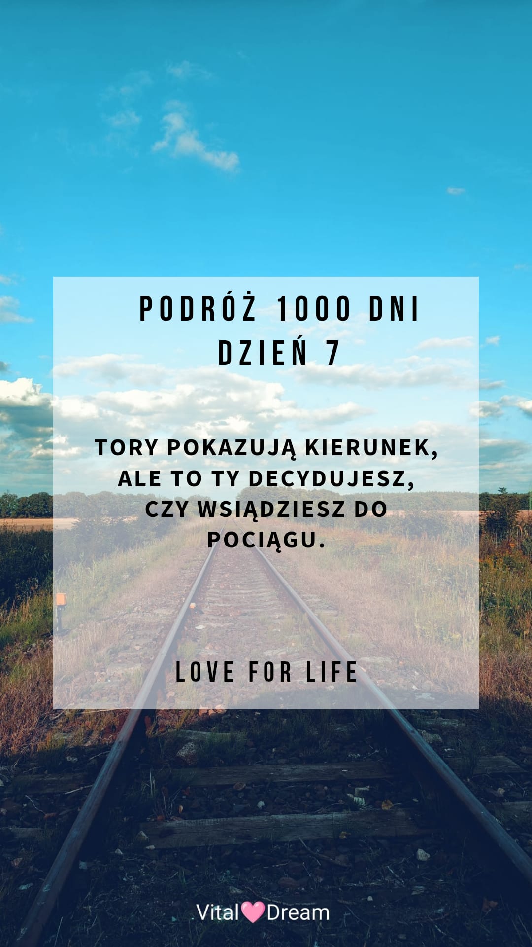 DZIEŃ 7